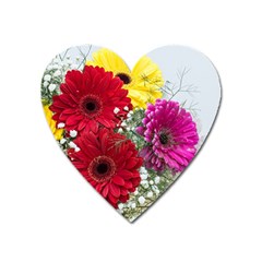 Flowers Gerbera Floral Spring Heart Magnet by Nexatart