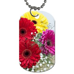 Flowers Gerbera Floral Spring Dog Tag (two Sides) by Nexatart