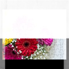 Flowers Gerbera Floral Spring Rectangular Jigsaw Puzzl by Nexatart