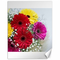 Flowers Gerbera Floral Spring Canvas 18  X 24   by Nexatart