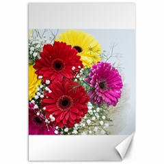 Flowers Gerbera Floral Spring Canvas 20  X 30   by Nexatart