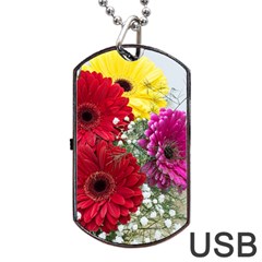 Flowers Gerbera Floral Spring Dog Tag Usb Flash (two Sides) by Nexatart