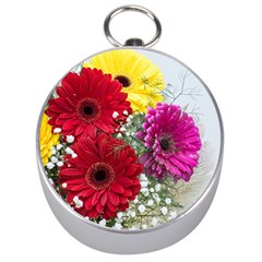 Flowers Gerbera Floral Spring Silver Compasses by Nexatart