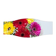 Flowers Gerbera Floral Spring Stretchable Headband