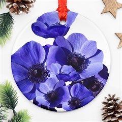 Poppy Blossom Bloom Summer Ornament (round) by Nexatart