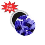 Poppy Blossom Bloom Summer 1.75  Magnets (100 pack)  Front