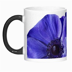 Poppy Blossom Bloom Summer Morph Mugs by Nexatart