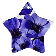 Poppy Blossom Bloom Summer Star Ornament (two Sides) by Nexatart