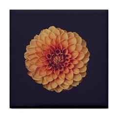 Art Beautiful Bloom Blossom Bright Tile Coasters by Nexatart