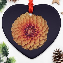 Art Beautiful Bloom Blossom Bright Ornament (heart) by Nexatart