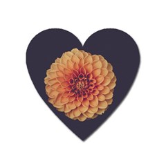 Art Beautiful Bloom Blossom Bright Heart Magnet by Nexatart