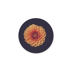 Art Beautiful Bloom Blossom Bright Golf Ball Marker (4 Pack) by Nexatart