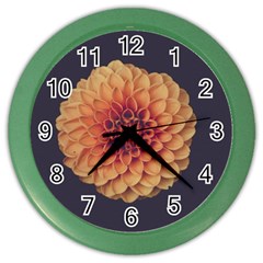 Art Beautiful Bloom Blossom Bright Color Wall Clocks by Nexatart