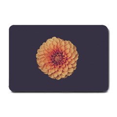 Art Beautiful Bloom Blossom Bright Small Doormat  by Nexatart