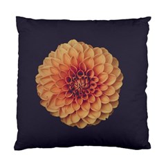 Art Beautiful Bloom Blossom Bright Standard Cushion Case (two Sides) by Nexatart