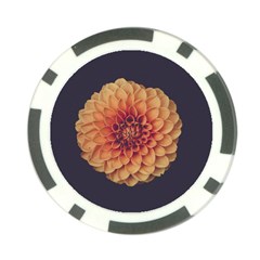 Art Beautiful Bloom Blossom Bright Poker Chip Card Guard (10 Pack)