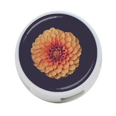 Art Beautiful Bloom Blossom Bright 4-port Usb Hub (two Sides)  by Nexatart