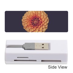 Art Beautiful Bloom Blossom Bright Memory Card Reader (stick)  by Nexatart