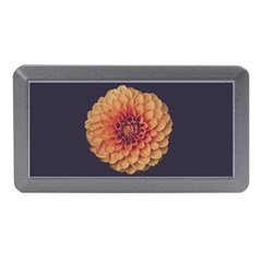 Art Beautiful Bloom Blossom Bright Memory Card Reader (mini) by Nexatart