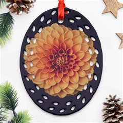 Art Beautiful Bloom Blossom Bright Ornament (oval Filigree) by Nexatart