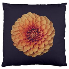 Art Beautiful Bloom Blossom Bright Large Cushion Case (two Sides) by Nexatart