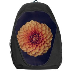 Art Beautiful Bloom Blossom Bright Backpack Bag by Nexatart