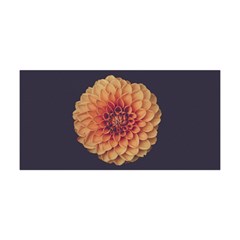 Art Beautiful Bloom Blossom Bright Yoga Headband by Nexatart