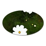 Daisies In Green Oval Magnet Front