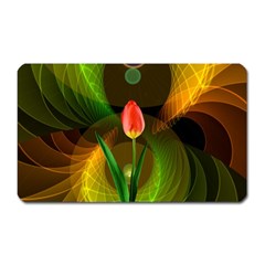 Tulip Flower Background Nebulous Magnet (rectangular) by Nexatart