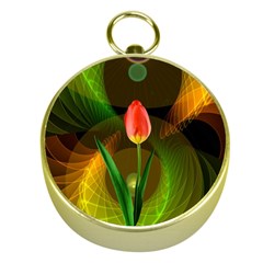 Tulip Flower Background Nebulous Gold Compasses by Nexatart