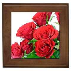 A Bouquet Of Roses On A White Background Framed Tiles by Nexatart