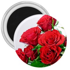 A Bouquet Of Roses On A White Background 3  Magnets by Nexatart