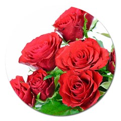 A Bouquet Of Roses On A White Background Magnet 5  (round) by Nexatart