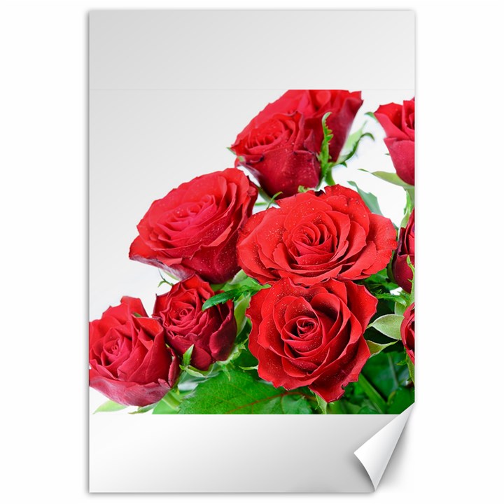 A Bouquet Of Roses On A White Background Canvas 20  x 30  