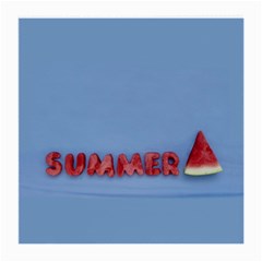 Summer Watermellon Medium Glasses Cloth