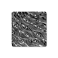 Digitally Created Peacock Feather Pattern In Black And White Square Magnet by Nexatart