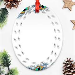 Beautiful Frame Made Up Of Blue Peacock Feathers Ornament (Oval Filigree)