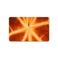 Red Leaf Macro Detail Magnet (name Card) by Nexatart