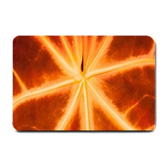 Red Leaf Macro Detail Small Doormat  by Nexatart