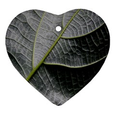 Leaf Detail Macro Of A Leaf Heart Ornament (Two Sides)