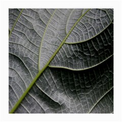 Leaf Detail Macro Of A Leaf Medium Glasses Cloth