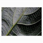 Leaf Detail Macro Of A Leaf Large Glasses Cloth (2-Side) Front