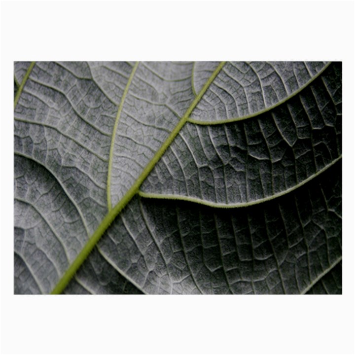 Leaf Detail Macro Of A Leaf Large Glasses Cloth (2-Side)