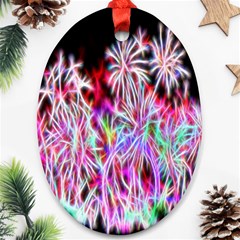 Fractal Fireworks Display Pattern Oval Ornament (two Sides) by Nexatart