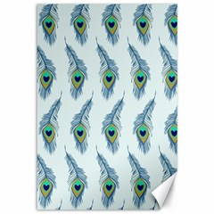 Background Of Beautiful Peacock Feathers Canvas 12  X 18   by Nexatart