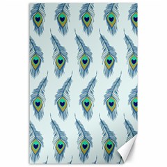 Background Of Beautiful Peacock Feathers Canvas 24  X 36  by Nexatart