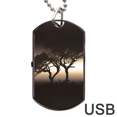 Sunset Dog Tag Usb Flash (two Sides) by Valentinaart