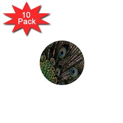 Close Up Of Peacock Feathers 1  Mini Magnet (10 Pack)  by Nexatart