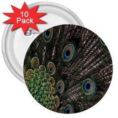 Close Up Of Peacock Feathers 3  Buttons (10 Pack)  by Nexatart