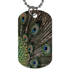 Close Up Of Peacock Feathers Dog Tag (one Side) by Nexatart